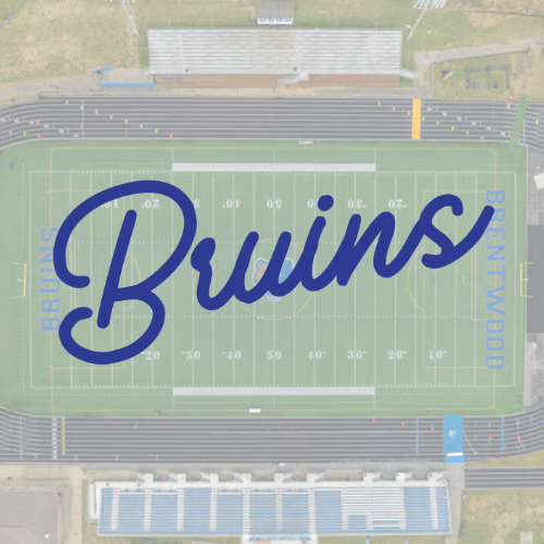 Bruins