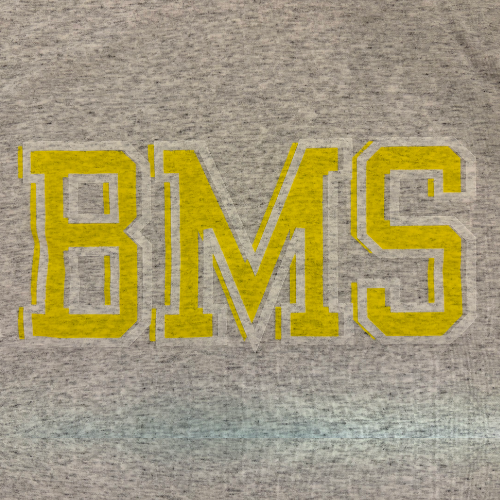Vintage BMS: Bella & Canvas