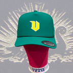 Vikings V Rope Hat